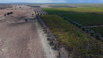 Prodej stavebního pozemku u moře🇮🇹 - 4