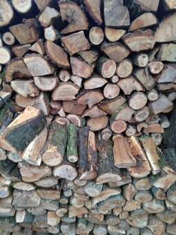 Tvrdé palivové dřevo. - 4