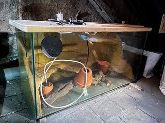 Terárium pro suchozemské plazy - 4