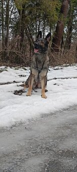 Do dobrých rukou - 4