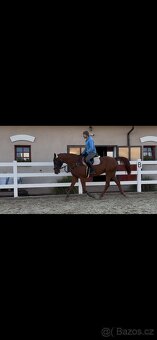 Valach po Aristo Z - 4