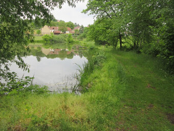 NA PRODEJ - POZEMKY 2.006 m2, BOŠOVICE U ČÍŽOVÉ (PÍSECKO) - 4