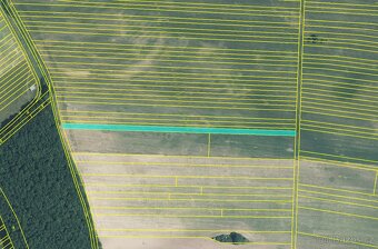 Prodej polí a lesa - 1,5 ha – kú Javorník nad Veličkou - 4