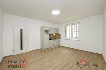 Pronájem, byty/1+kk, 30 m2, Puškinova 2141/14, Jižní Předměs - 4