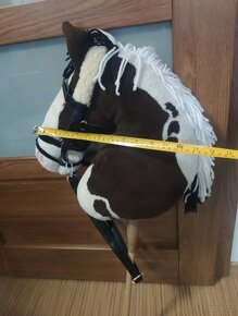Hobby horse - 4