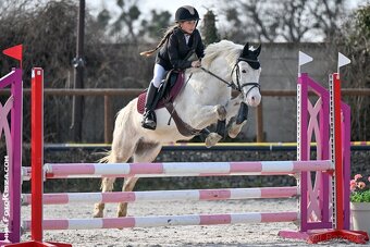 Pony valach kat. A - 4