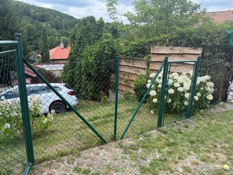 plot ( brana a branka) - 4
