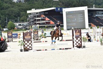 Wpbr valach - 4