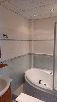 Pronájem, byt 3+kk, 100m2, Teplice, Ruská ul. - 4