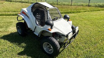 Havel buggy Rezervace do 29.6 - 4