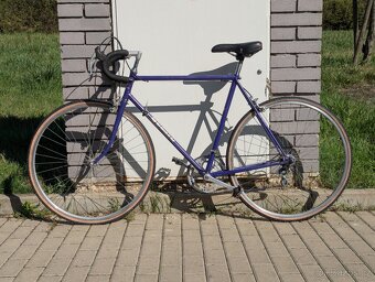 Krásný Favorit - 4
