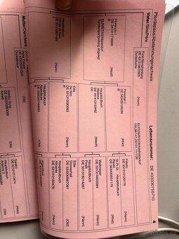 Oldenburská klisna - 4