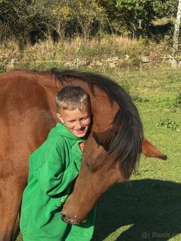 Hodný mohutný hřebeček - 4