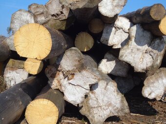 Stavební trámy - 4