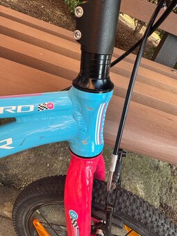 Author Record 16 - 4