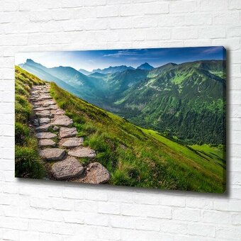 Foto obraz na plátně Stezka v Tatrách 100x70 cm - 4