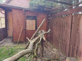 Velka voliera 23m2 - 4