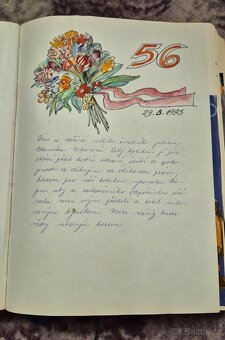 KOUPÍM---KRONIKU BSP--- - 4