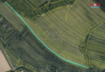 Prodej pole, 10112 m², Popovice - 4