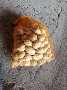 Brambory - 4