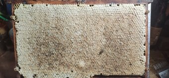 Kvalitní včelí oddělky 39x24, 2026 - 4