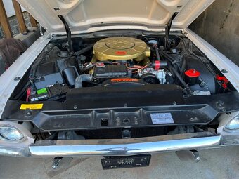 Ford Thunderbird 1964 - 4