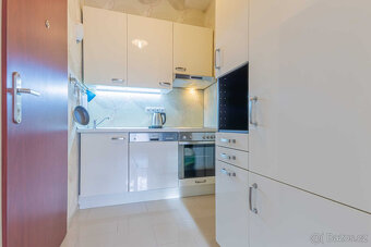 Pronájem bytu 1+1, U Pernštejnských, Praha - Nusle, Praha 4 - 4