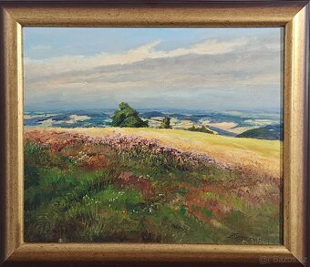 Milan Zimmermann - 4