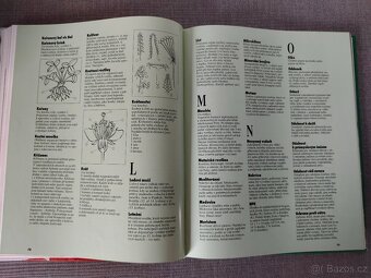 Kniha - Balkonové rostliny – JAKO NOVÁ - 4