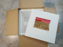 Na prodej Axolotl - Axolotly.cz - 4