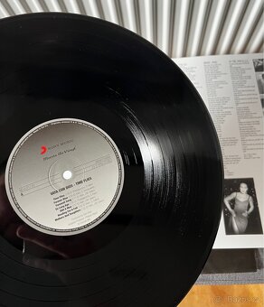 Time Flies | audiophile LP record | NM+ - 4
