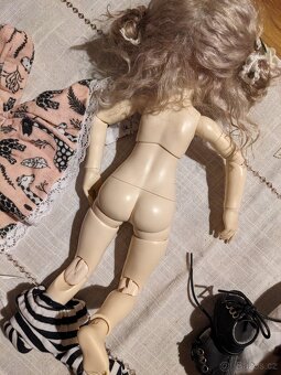 Panenka vícekloubová. - 4