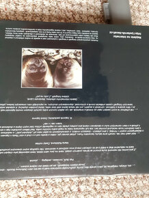 DOTEKY KONCŮ SVĚTA - 4