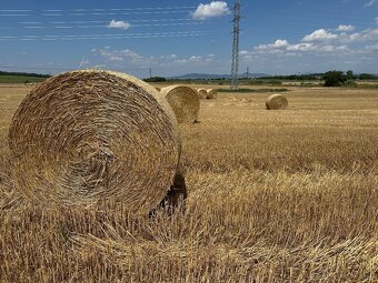 Pšeničná slama guľaté baliky - 4