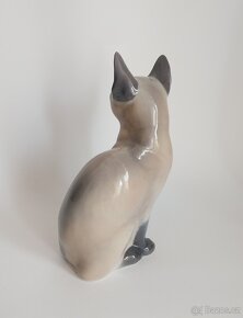 Královská Kodaň - siamská kočka - 4