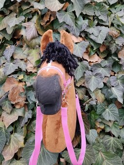 Hobby horse - 4