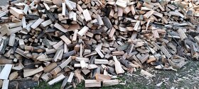 Palivové dřevo - 4