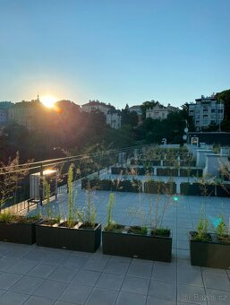 Pronájem bytu 2+kk, 42 m² – Rezidence Depo Grébovka - 4