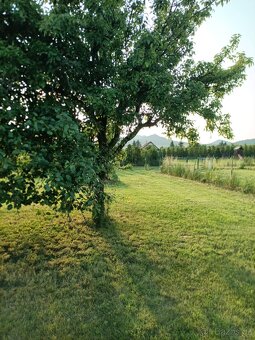 Pronajmu zahradu v Podsedicích, okr.Litoměřice - 4
