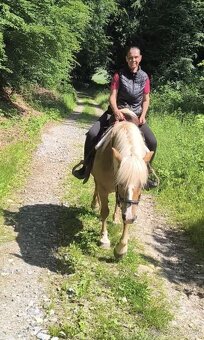 klisna hafling 10let výška 148cm - 4