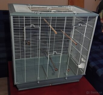 Velká ptačí klec - 4