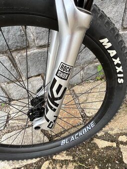 ROSE THE BRUCE 2 (2023) M - 4