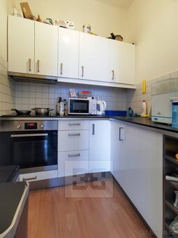Světlý, prostorný byt 2+kk pár kroků od Letné a Stromovky - 4
