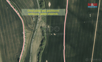 Prodej pole, 5000 m², Lubná - 4