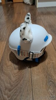 Dětská lyžařská helma XS/S 52-55cm - 4