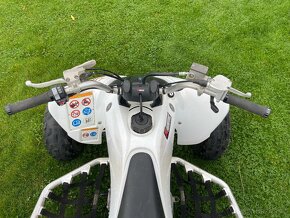Yamaha Raptor 250 - 4
