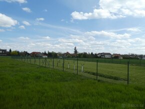 Pronájem zasíťovaného pozemku - Šestajovice - 4