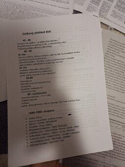 Vypracovaná maturitní četba buď pdf verze nebo papir - 4