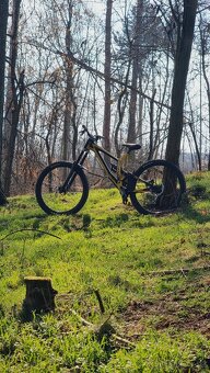 Kellys noid 90 2021 - 4
