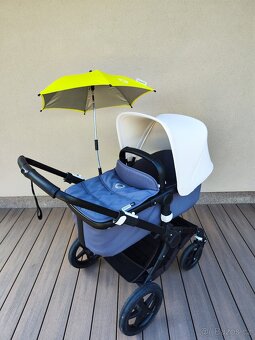Kocarek Bugaboo Fox - 4